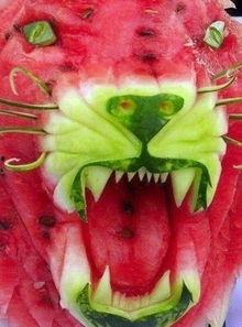 猪尾巴蛇理性吃瓜