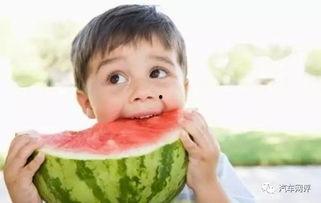 吃瓜漫漫回府001,揭秘回府001背后的故事与真相