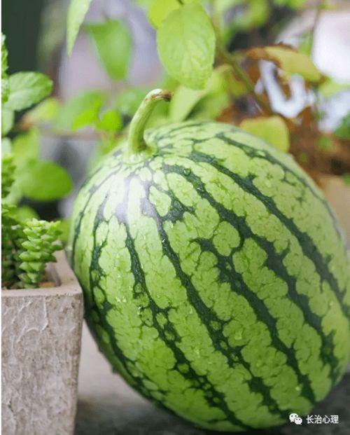 这种吃瓜心理,揭秘网络热点背后的心理奥秘