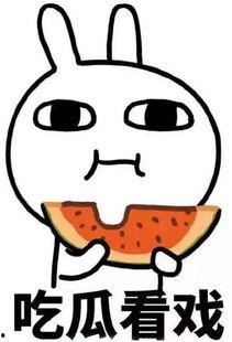 吃瓜看戏不吐皮晋江,晋江小说圈的趣味解读