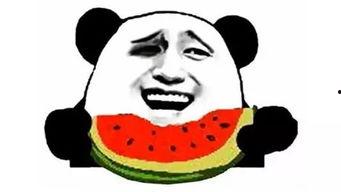 发呆白眼吃瓜群众黑脸