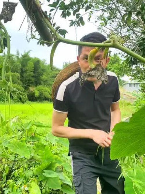 农村大妈吃瓜视频大全,趣味横生的乡村生活瞬间