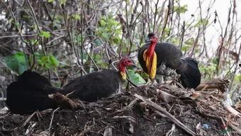 专业吃瓜能手,专业吃瓜能手带你领略幕后风云