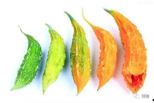 方基吃瓜,揭秘娱乐圈幕后故事