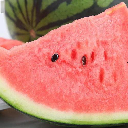 泗水吃瓜话题,揭秘网络舆论背后的真相与反思