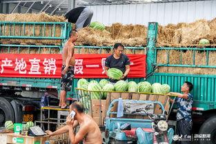 山东日照莒县吃瓜,夏日消暑美食之旅