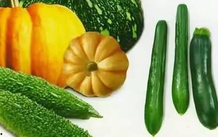 吃瓜的厨房,揭秘美食背后的故事与传奇