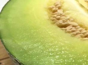 吃瓜佛山,探寻这座美食天堂的独特风味