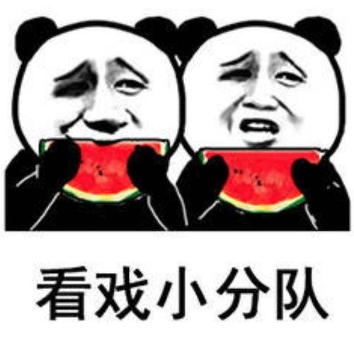 带你吃瓜之图画,带你一图览尽“带你吃瓜”的趣味瞬间