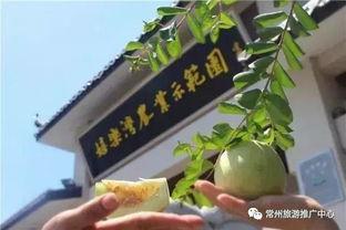 凤巢湾吃瓜,揭秘吃瓜群众的狂欢盛宴